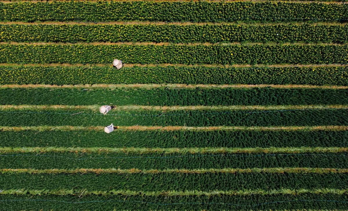 Agriculture & Landscaping