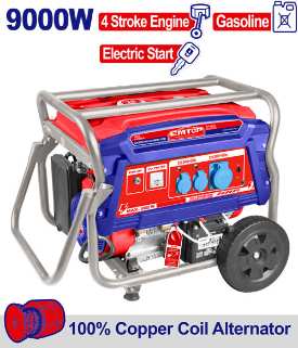 Gasoline generator