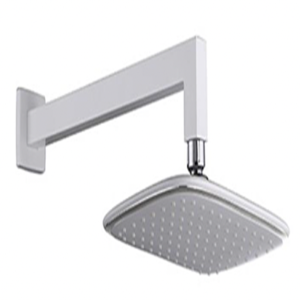 CONCEALED SHOWER HEAD